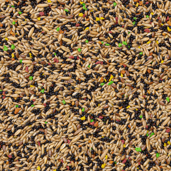 Deli Nature 77 - Kanaries Colormix - 20 Kilo - Tweede afbeelding