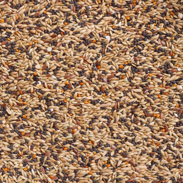 Deli Nature 95 - Vinken Winter Rust - 20 Kilo - Tweede afbeelding