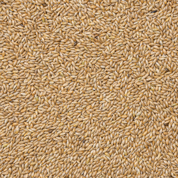 Deli Nature 86 - Witzaad Extra - 20 Kilo