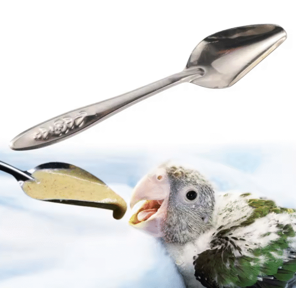 Paplepel voor Vogels