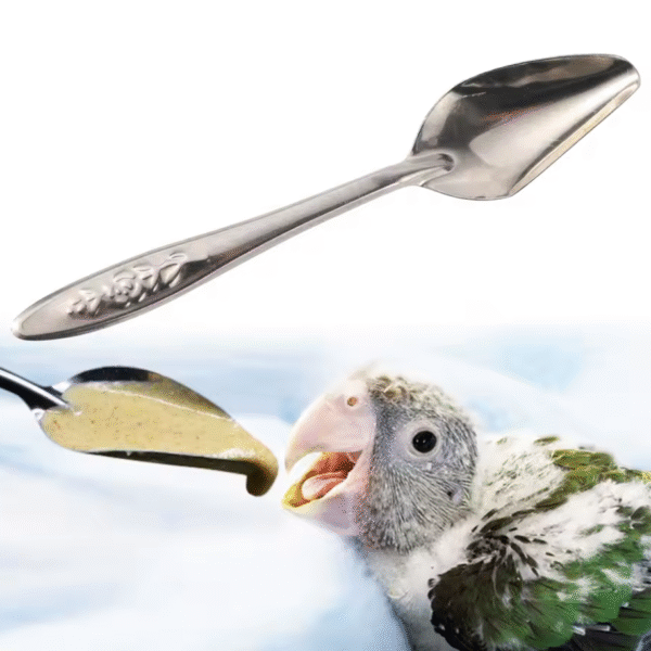 Paplepel voor Vogels