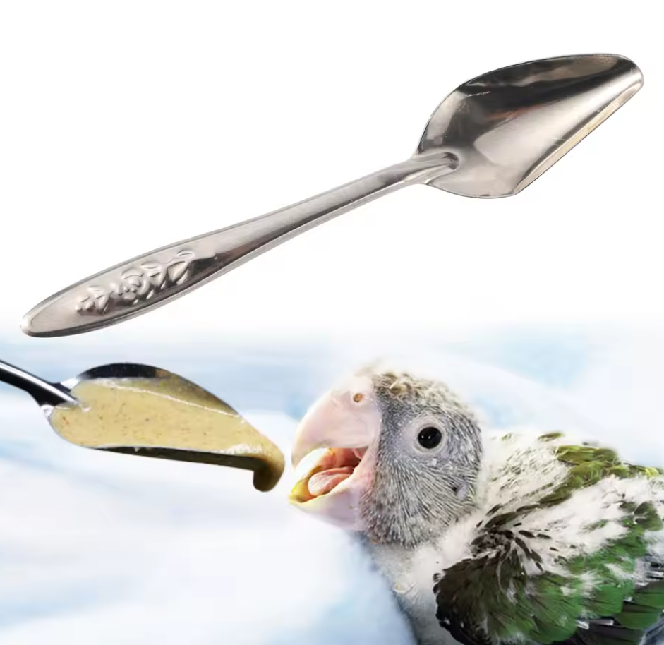 Paplepel voor Vogels