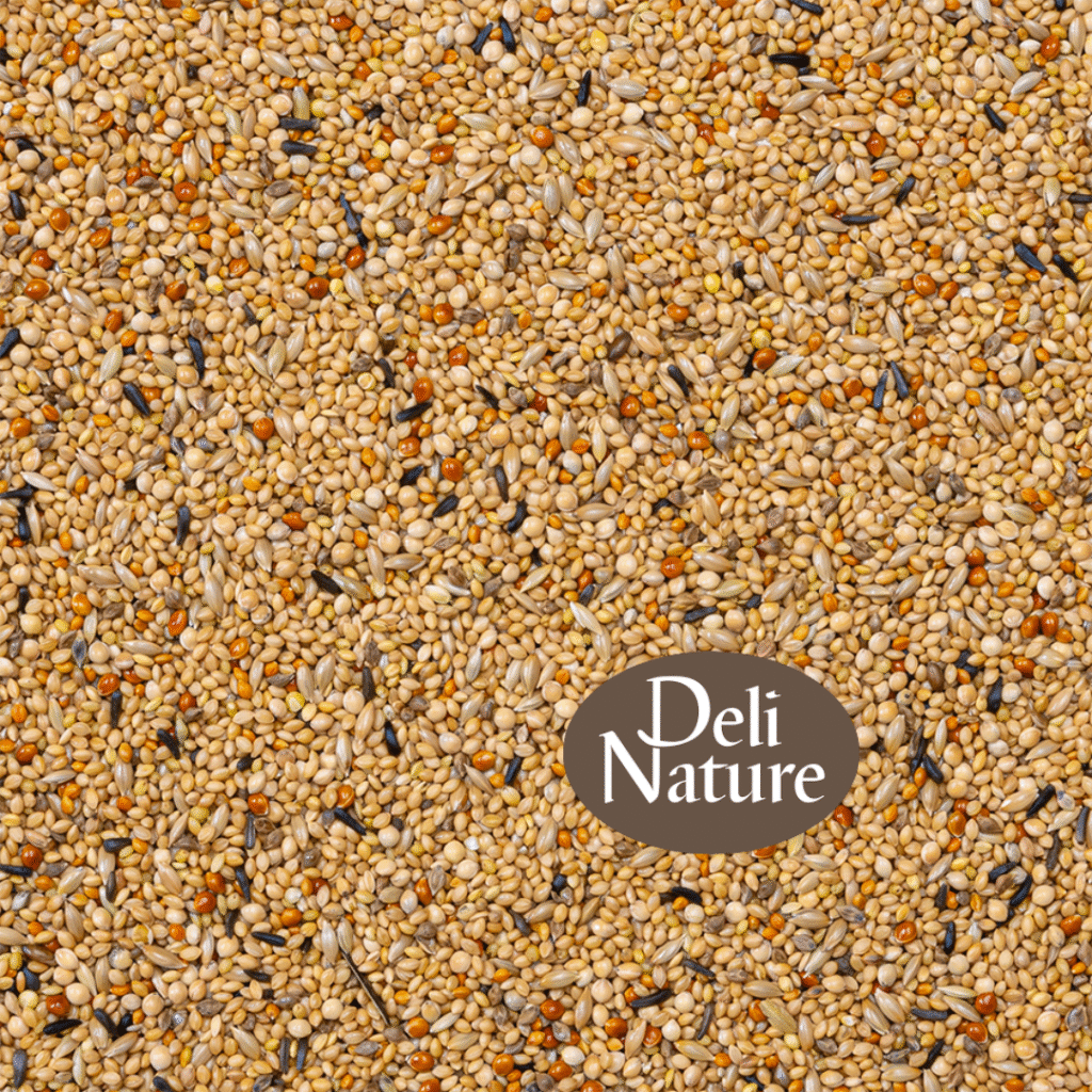 Deli Nature 56 - Tropische Vogels Super - 2 of 4 Kilo