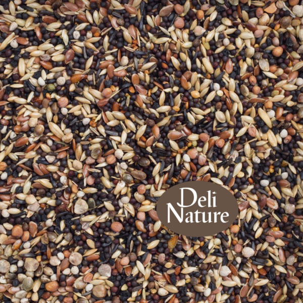 Deli Nature 99 - Europese Vogels Basis - 2 of 4 Kilo