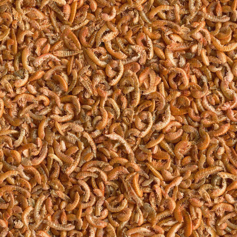GrizO Gammarus - Vlokreeftjes - 5 Liter - Tweede afbeelding