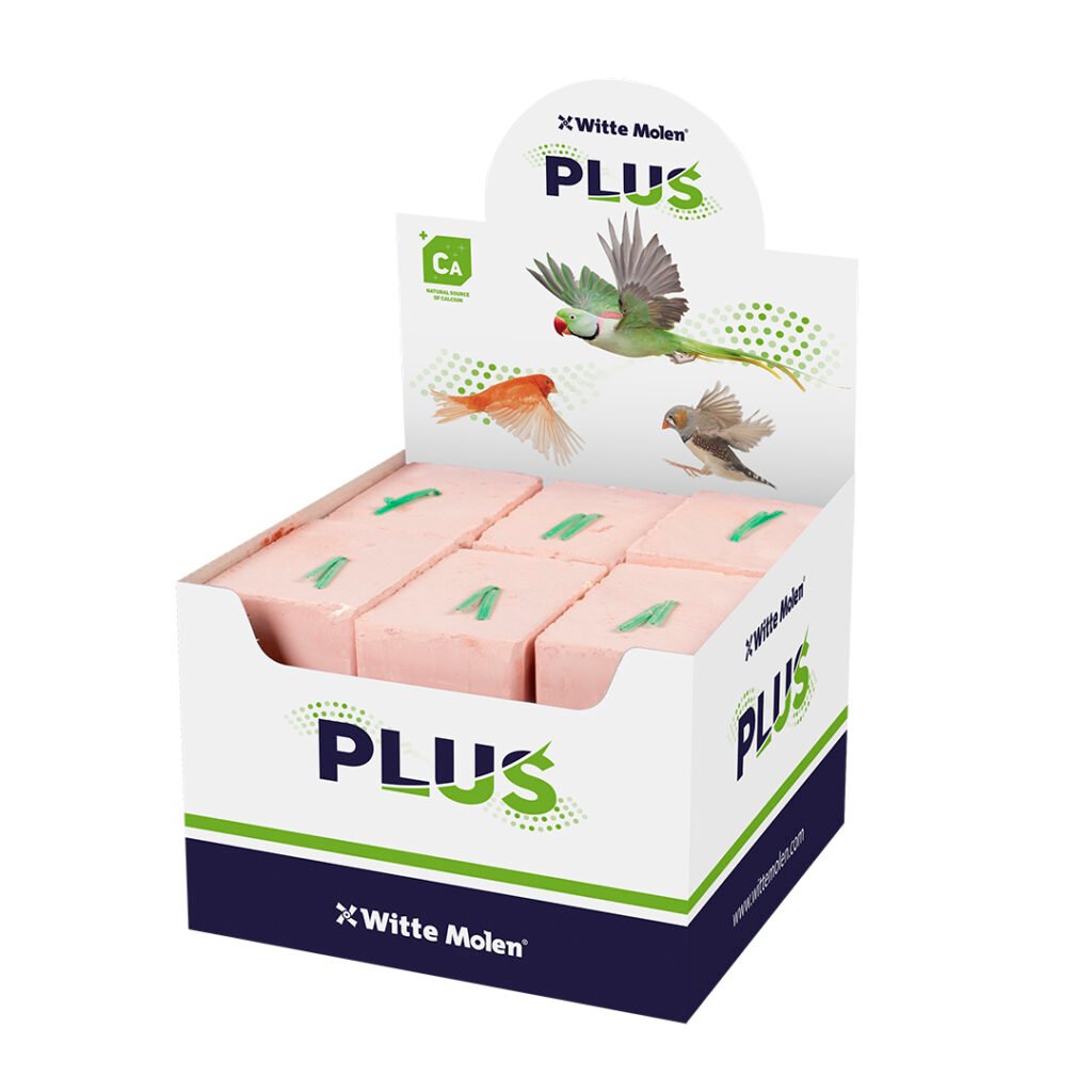 Witte Molen Plus Energie Blok Rood - Medium - 18 Stuks