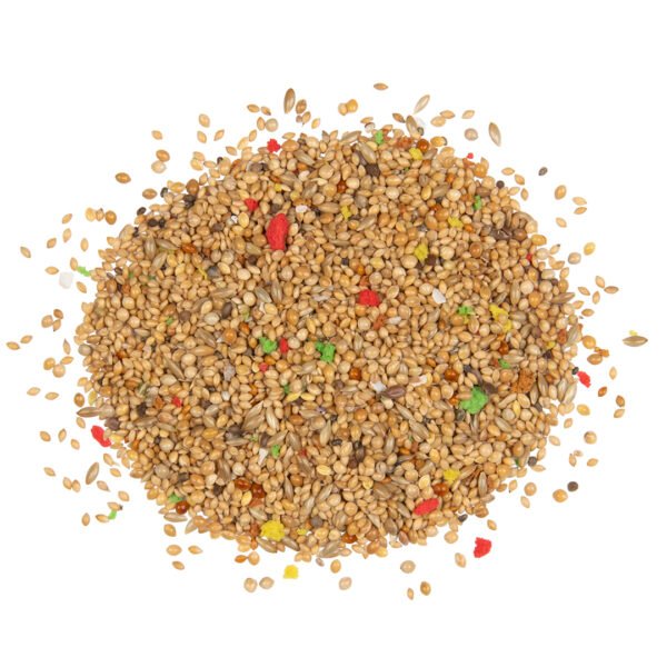 Country Vinkachtigen - Vinkenzaad - 600 Gram - Tweede afbeelding