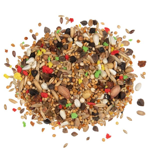 Country Agapornis - Agaporniszaad - 600 Gram
