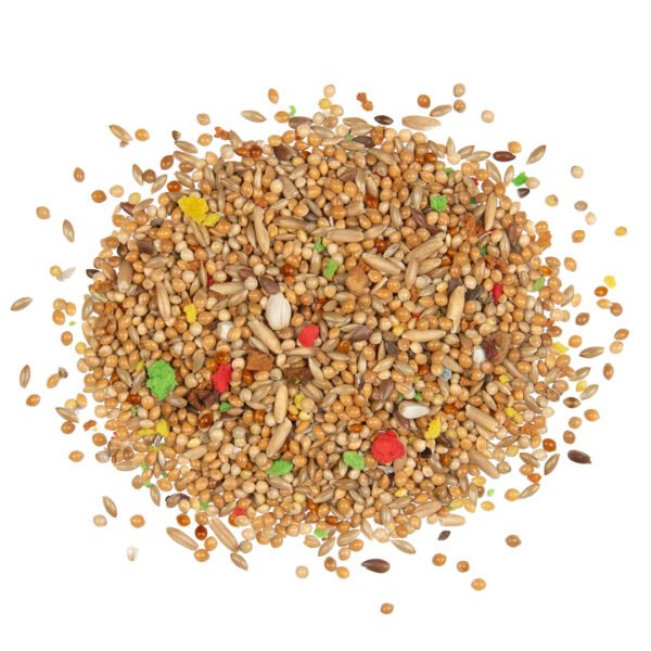 Country Parkiet - Parkietenzaad - 600 Gram - Tweede afbeelding