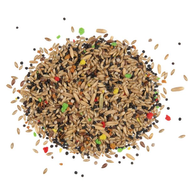 Country Kanarie - Kanariezaad - 600 Gram - Tweede afbeelding