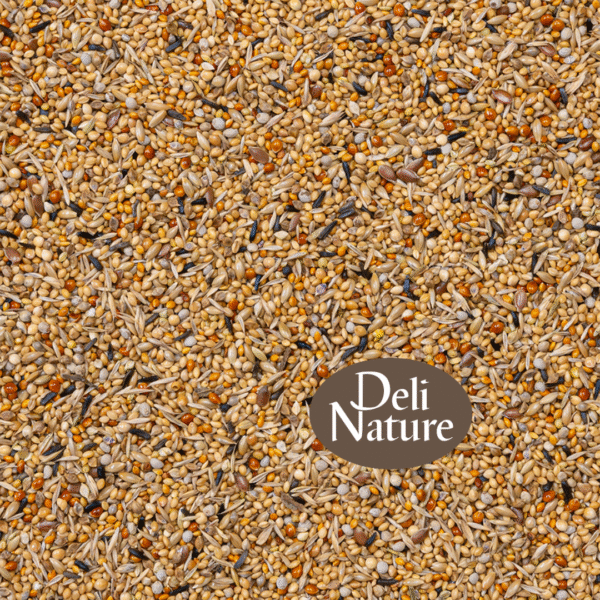 Deli Nature 43 - Afrikaanse Prachtvinken Suprème - 2 of 4 Kilo