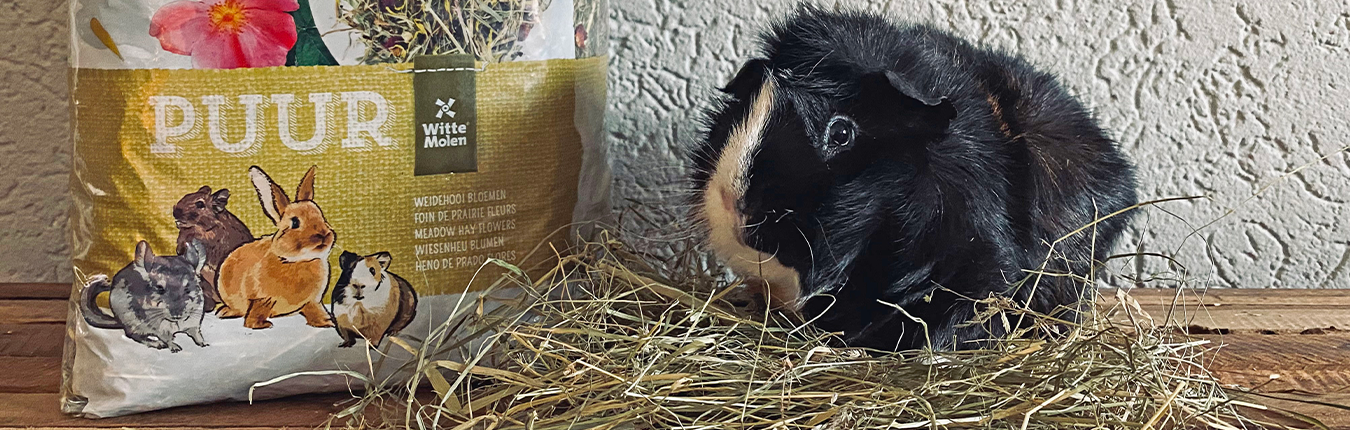 Witte Molen PUUR Banner