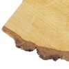 Back Zoo Nature Rustplank voor Vogels - Kwartrond - Derde afbeelding