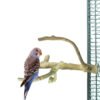 Back Zoo Nature Java Multi Perch Premium Small - Java Zitstok - Derde afbeelding