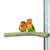 Back Zoo Nature Java Single Perch Small - Rechte Java Zitstok