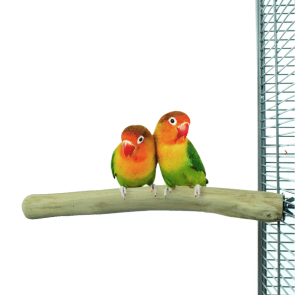 Back Zoo Nature Java Single Perch Small - Rechte Java Zitstok