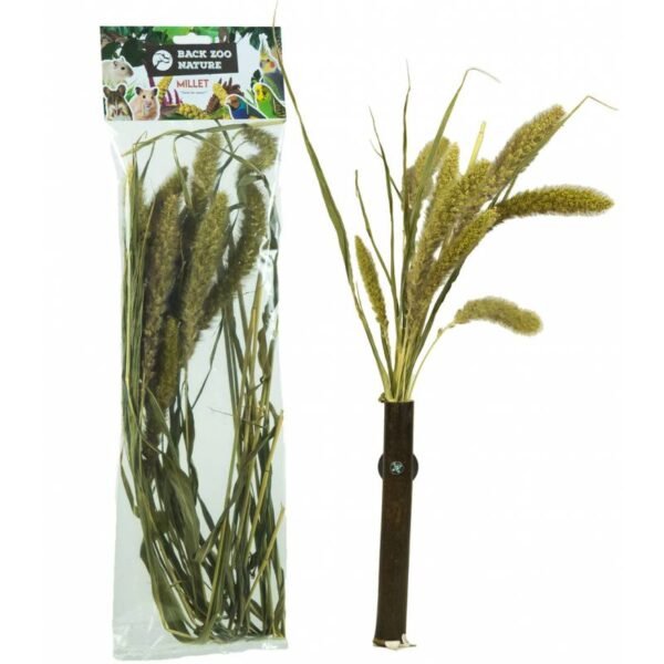 Back Zoo Nature Setaria - Natuurlijke Vogelsnack
