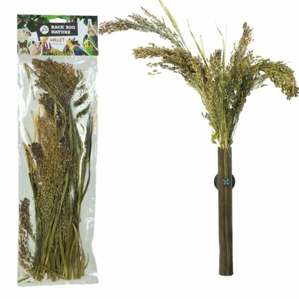 Back Zoo Nature Panicum - Natuurlijke Vogelsnack