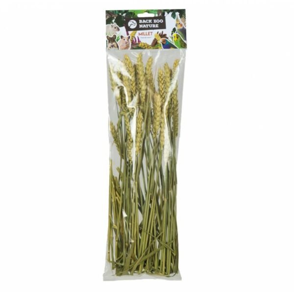 Back Zoo Nature Tarwe - Natuurlijke Vogelsnack - Tweede afbeelding