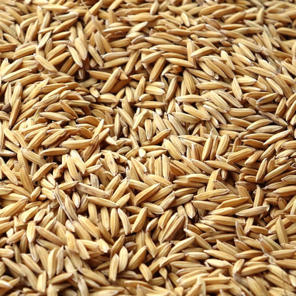 GrizO Paddy Rijst - 17 Kilo