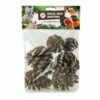 Back Zoo Nature Forest Pine Cones - 6 Stuks