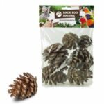 Back Zoo Nature Forest Pine Cones - 6 Stuks - Derde afbeelding