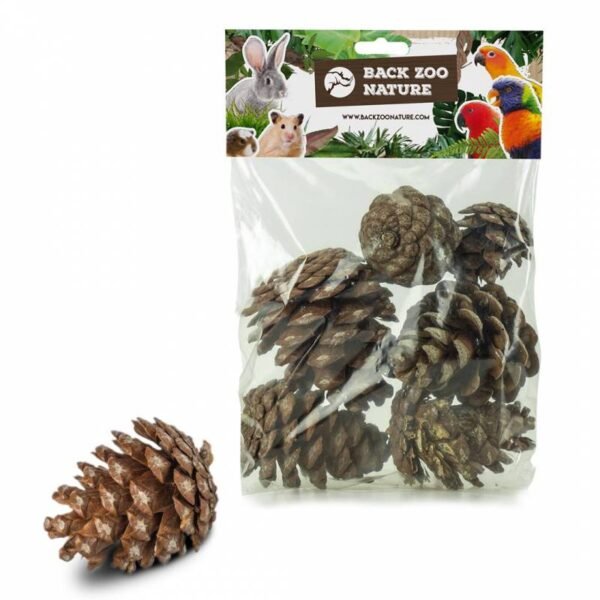 Back Zoo Nature Forest Pine Cones - 6 Stuks - Derde afbeelding