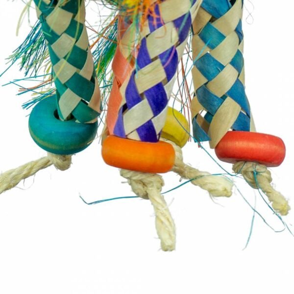 Back Zoo Nature Firecracker - Vogelspeelgoed voor Kromsnavels - Derde afbeelding