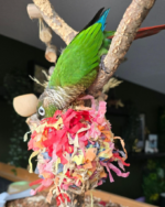 Back Zoo Nature Super Shredding Ball Small - Tweede afbeelding