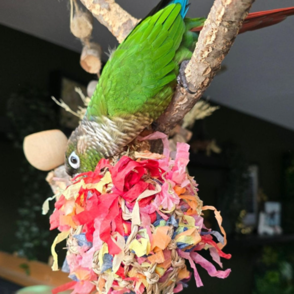 Back Zoo Nature Super Shredding Ball Small - Tweede afbeelding