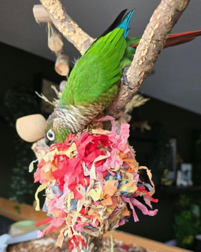 Back Zoo Nature Super Shredding Ball Small - Tweede afbeelding