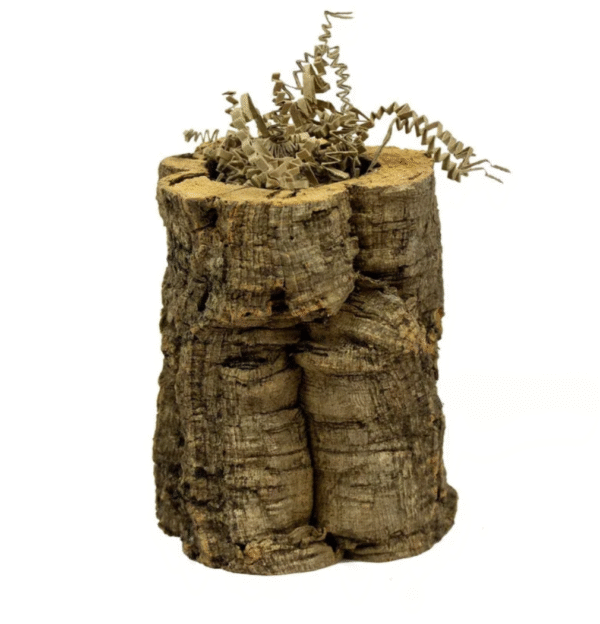 Back Zoo Nature Crinkle Paper Sun Mix - Vierde afbeelding