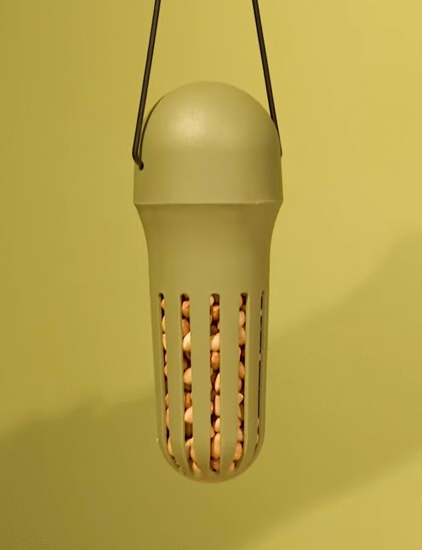 10011-2 Singing Friend Pindavoeder Max - Pindasilo