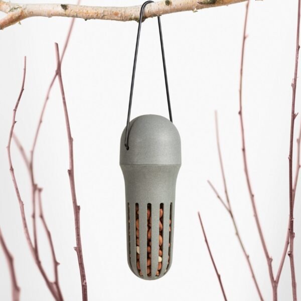 10011 Singing Friend Pindavoeder Max - Pindasilo