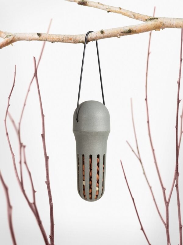 10011 Singing Friend Pindavoeder Max - Pindasilo