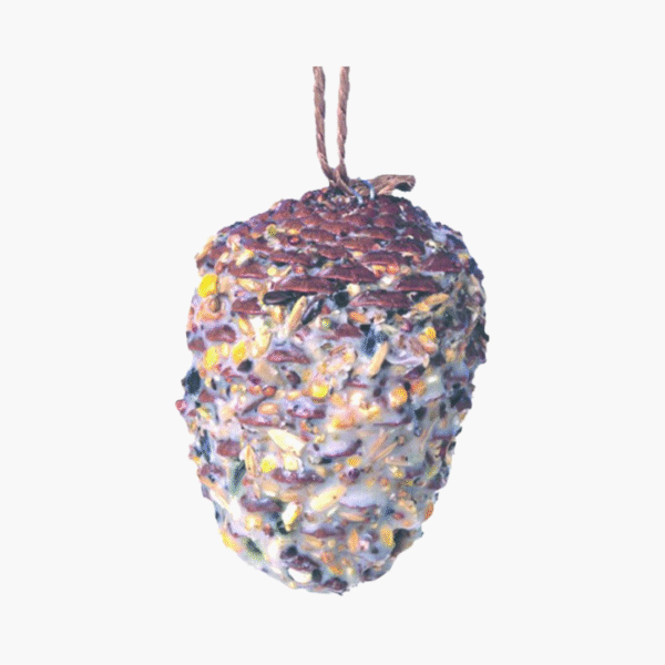 Kinlys Gevulde Dennenappel voor Tuinvogels - 350 Gram