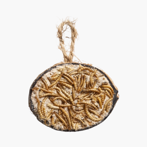 Kinlys Halve Kokosnoot met Meelwormen - 220 Gram