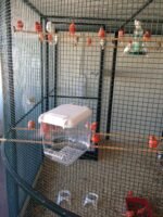 Fauna Badhuis Multi - TT-Badhuis - Groen - Vierde afbeelding