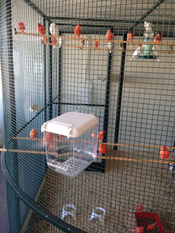 Fauna Badhuis Multi - TT-Badhuis - Groen - Vierde afbeelding