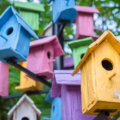 Categorie afbeelding Tuinvogelaccessoires - Voorjaar en Zomer