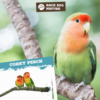 Back Zoo Nature Corky Perch Small - Zitstok van Kurk