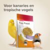 Beaphar Eikrachtvoer Kanaries & Tropische Vogels - 1 Kilo - Vierde afbeelding