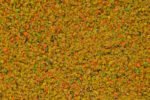 Bravo Fruit-mix Fijn voor Kleine Siervogels - 1 of 5 Kilo - Tweede afbeelding
