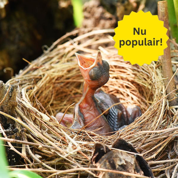 2. Categorie afbeelding Kweekbenodigdheden - Nu populair