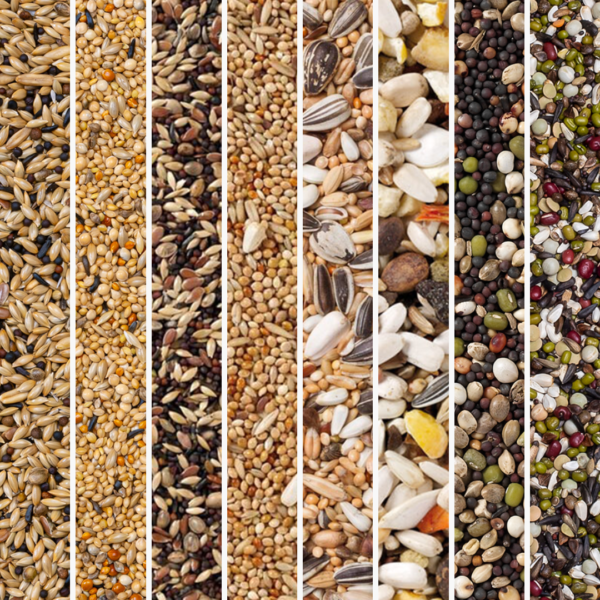 4. Categorie afbeelding Vogelvoer