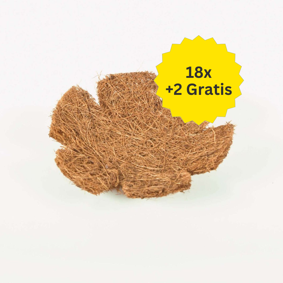 Inlegnest Kokos – Inlegmatje Cocos – 20 Stuks